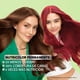 thumbnail image 4 of Tinte para cabello Garnier Nutrisse ultra cobertura 81u rubio claro cenizo, 4 of 12