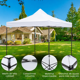 thumbnail image 3 of Toldo Plegable Reforzado 3x3m NINON LUNOR Lona Oxford 600D Impermeable y Protección UV, 3 of 9