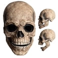 thumbnail image 4 of Máscara de calavera Sunnimix para Halloween Tocado de esqueleto, 4 of 8
