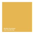 thumbnail image 2 of Pintura Meridian Tecnohogar Color Amarillo 18 Litros, 2 of 3