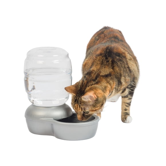 Bebedero Automático por Gravedad Petmate Replendish 1,9 L Plateado