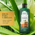 thumbnail image 3 of Shampoo Herbal Essences Bio:Renew 6X Aloe & Mango Protege & Repara 400 ml, 3 of 5