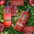 thumbnail image 4 of Shampoo Herbal Essences Pelo Largo Granada & Proteína Vegana 400 ml, 4 of 4
