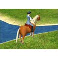 thumbnail image 3 of Videojuego Valusoft Paws & Claws Pet Resort para PC, 3 of 7