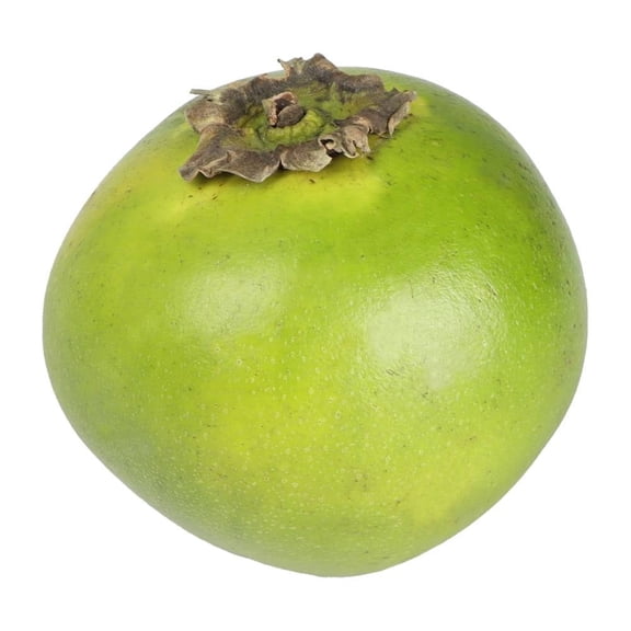 Zapote negro por kilo