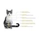 thumbnail image 2 of Paquete de dos Nupec felino urinary 1.5 kg, 2 of 4
