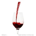 thumbnail image 4 of Vino Tinto Santo Tomás Merlot 750 ml, 4 of 4