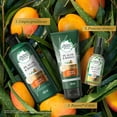 thumbnail image 5 of Shampoo Herbal Essences Bio:Renew 6X Aloe & Mango Protege & Repara 400 ml, 5 of 5