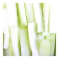 thumbnail image 2 of Bastones De Pepino Naturalmente Express Frescos Por Pieza, 2 of 6