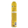 thumbnail image 3 of Limpiador Pulimentos Pledge Potpurri Acero Inoxidable Aerosol 378 ml, 3 of 4