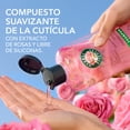 thumbnail image 4 of Shampoo Suavidad Rosa Mosqueta Herbal Essences 240 ml, 4 of 5