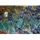 thumbnail image 1 of Irises - Van Gogh, 1 of 4