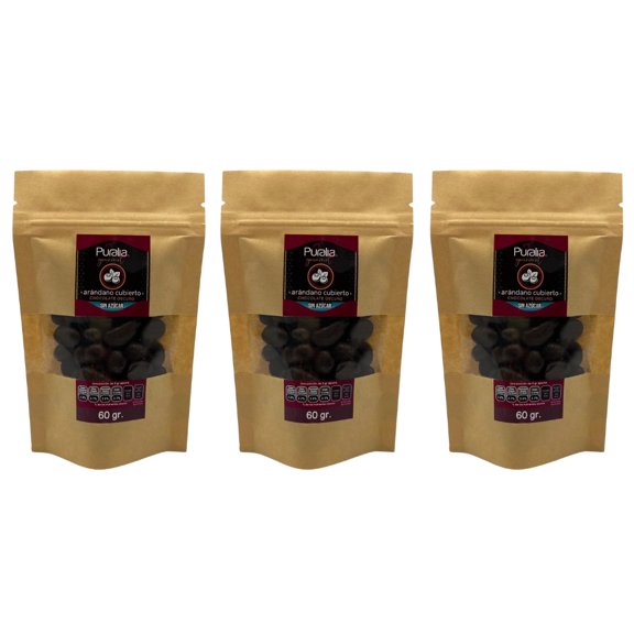 Arándano Cubierto de Chocolate Semiamargo Puralia Gourmet 60 g 3 pack