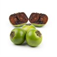 thumbnail image 5 of Zapote negro por kilo, 5 of 5