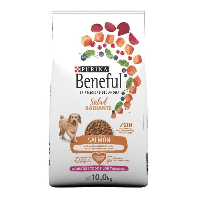 alimento para perro beneful salud radiante salmon de 10 kg Bolsa frontal blanca con logotipo Beneful y texto 'Salud Radiante', ilustraciones de croquetas multicolores y trozos de salmón en semicírculo; indica 'Adultos | Todos los tamaños', peso 10,0 kg, 'sin colorantes ni saborizantes artificiales' y señala antioxidantes y omegas para piel y pelaje saludables. Foto de un perro adulto pequeño junto al rótulo de salmón.