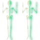 thumbnail image 1 of Adorno para decorar casas VentDepot SkeleHangMid 2Pzas 90cm Plástico verde fluorescente, 1 of 1