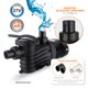 thumbnail image 3 of Bomba Para Alberca Evans 1hp 127v 1f 2x2 175lpm 84m3, 3 of 6
