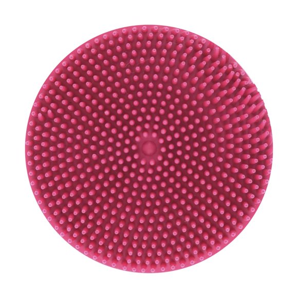 Goma Limpiadora de Pelo Fancy Pets Expert Grooming para Perro