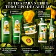 thumbnail image 4 of Acondicionador Herbal Essences Bio:Renew Pequi & Aguacate Nutre e Hidrata 250 ml, 4 of 4