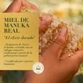 thumbnail image 3 of Acondicionador Herbal Essences Bio:Renew Bourbon Manuka Honey 400 ml, 3 of 5