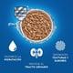 thumbnail image 4 of Alimento húmedo para gato Purina Cat Chow Adulto Pouches Multisabor 12 Pack, 4 of 4