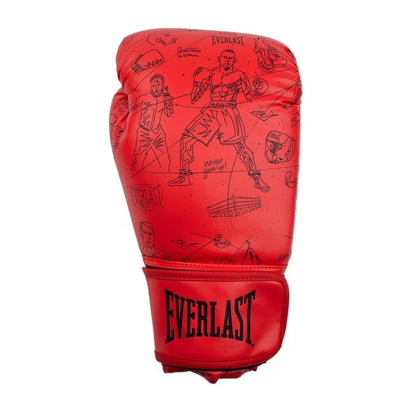 Guantes De Box Everlast Graficos 14 Oz Rojo