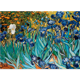 thumbnail image 3 of Irises - Van Gogh, 3 of 4