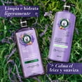 thumbnail image 4 of Acondicionador Herbal Essences Anti-Frizz lavanda & Aceite de Almendras 600 ml, 4 of 4