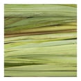 thumbnail image 3 of Té de Limón , Hoja Suelta, Fresco, Por Pieza, 3 of 5