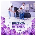 thumbnail image 3 of Limpiador Multiusos Líquido Fabuloso Fresca Lavanda 5 L, 3 of 8