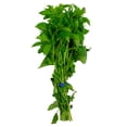 thumbnail image 1 of Albahaca por pieza, 1 of 6