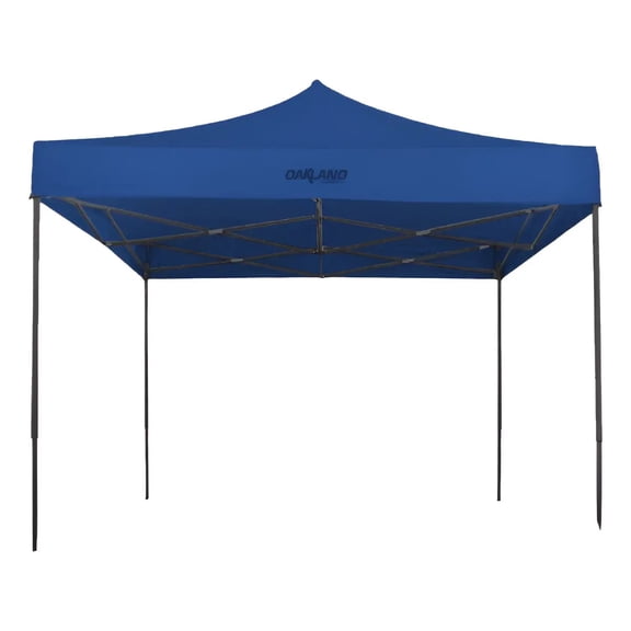 Toldo Plegable 2x2m Lona Impermeable Y Reforzado Oakland