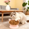 thumbnail image 4 of Cats Food Bowl Large Capacity Pet Food Bowl Cute Drinking Bowl For Cats To Protects The Neck, 4 of 8