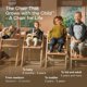 thumbnail image 3 of Silla Tripp Trapp de Stokke, Silla ajustable, evolutiva para recién nacidos, niños y adultos - Práct, 3 of 8