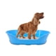 thumbnail image 1 of KE WOOW Cama Chica para Perro, Gato, Conejo y otras Mascotas, Cesta de Plástico, Incluye Colchón Doble Cara, Color Azul KE WOOW Cama Plana con colchón Chica, 1 of 10