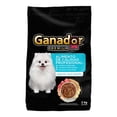thumbnail image 1 of Alimento para Perro Ganador Premium Adulto Razas Pequeñas 2 kg, 1 of 6