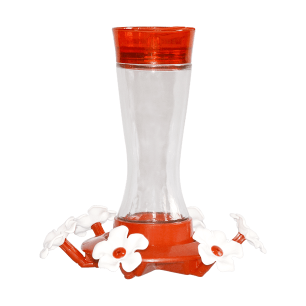 Bebedero De Vidrio P/Colibri 590 Ml