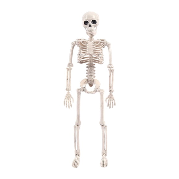 de Halloween Modelo Articulaciones ajustables horrible Boceto Sunnimix Halloween Skeleto