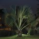 thumbnail image 5 of Luminario Proyector Tecnolite Conico H-780/CF, 5 of 7