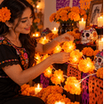 thumbnail image 3 of Serie de Luces LED con Flores de Cempasúchil para Día de Muertos, Decoración de Ofrenda a Pilas AA, 3 of 3