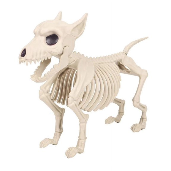 Decoraciones de Halloween de Perro Esqueleto - Esqueletos de Animales Posibles Esqueletos con Articulaciones Posibles Decoración de Halloween