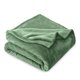 thumbnail image 1 of Manta de Felpa Polar Bare Home 300 G/M² Microfelpa Difusa Suave y Afelpada Full/Queen Color Pradera, 1 of 7