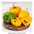 thumbnail image 2 of Chile manzano por kilo, 2 of 5