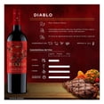 thumbnail image 2 of Vino Tinto Diablo Dark Red Blend 750 ml, 2 of 4