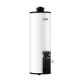 thumbnail image 2 of Boiler CALOREX MAXIMUS G-15 Con Piloto LP, 2 of 4