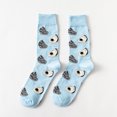 thumbnail image 4 of Qarigey Hombres Otoño Invierno Calcetines de Mariscos Niños Algodón Dibujos Animados Lindo Manguera Parejas Estilo Calcetería Elástica Medias azul claro, 4 of 4