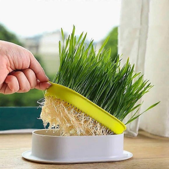 Pet Cat Sprout Dish Growing Pot Hydroponic Plant Cat Grass Germination Digestion Starter Dish Greenhouse Grow Box Garden Tools