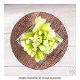 thumbnail image 4 of Bastones De Pepino Naturalmente Express Frescos Por Pieza, 4 of 6