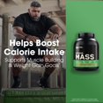 thumbnail image 2 of Proteína en polvo para ganar peso Optimum Nutrition Serious Mass, 2 of 7