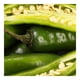 thumbnail image 3 of Chile Serrano por Kilo, 3 of 5